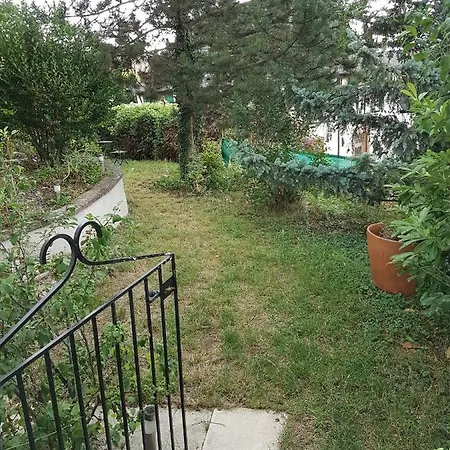 Πανσιόν Meuble Du Vignoble - Piscine - Sauna - Proche Strasbourg - Classe 3 Etoiles 3*