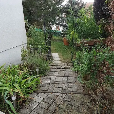 Meuble Du Vignoble - Piscine - Sauna - Proche Strasbourg - Classe 3 Etoiles Πανσιόν 3*