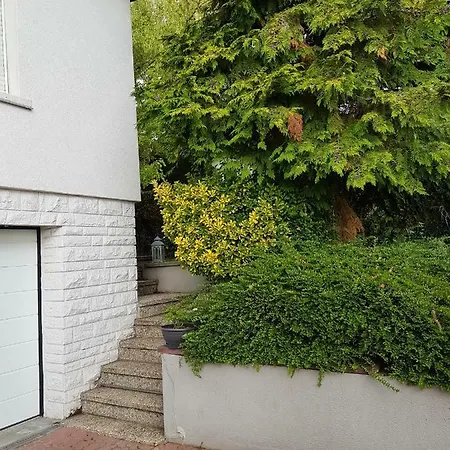 Meuble Du Vignoble - Piscine - Sauna - Proche Strasbourg - Classe 3 Etoiles Πανσιόν